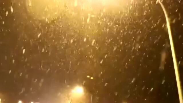 2020青岛入冬第一场雪,大美青岛雪花飘飘真美,有没有一起赏雪的