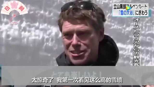 日本最后的秘境! 立山黑部雪山峡谷首次开放游客云集!