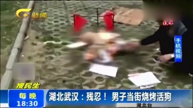 男子当街烧死活狗,竟将狗烧至黑色才罢休,惨叫声让路人惊心!