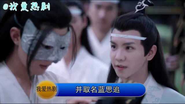 陈情令:蓝忘机重回乱葬岗,救下温苑,起名蓝思追,后有彩蛋