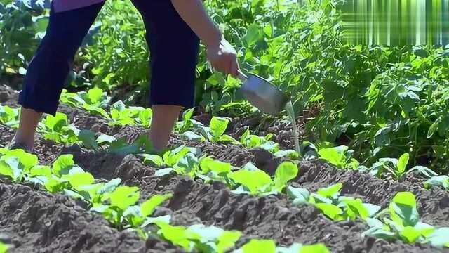 马大山要去县里找打井队,只要把事情办完了,关系到他们家的幸福