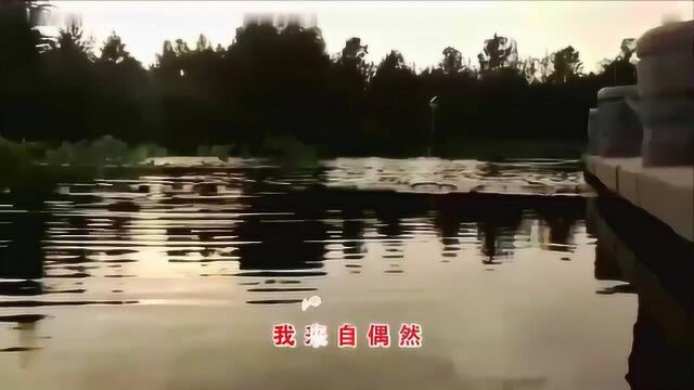 经典音乐,一首《感恩的心》歌声独特,好听感人