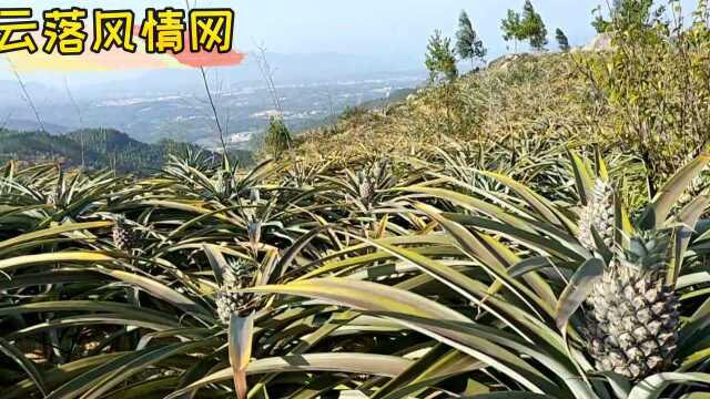 云落小城西部山区风景