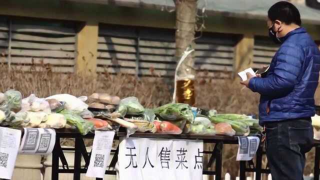 河北石家庄:社区开设无人售菜点 减少聚集风险居民乐享便利