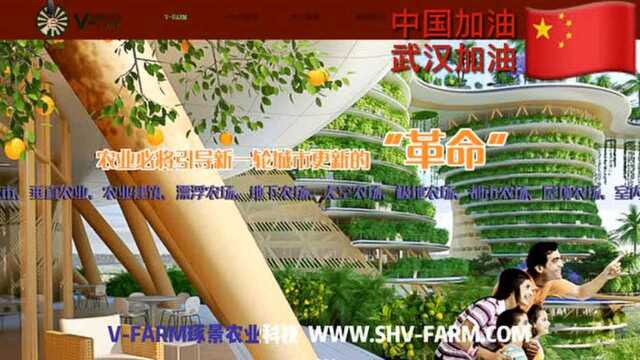 VFARM琢景农业科技:迪拜世博会中国馆“中国灯笼”照亮全人类充满机遇的美好未来!