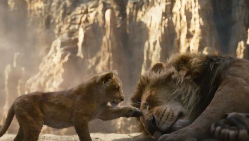 小狮子的父亲惨遭杀害，长大后它不仅手刃仇人，还成为草原狮王！