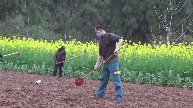 农村种地场景亲切中带着回忆