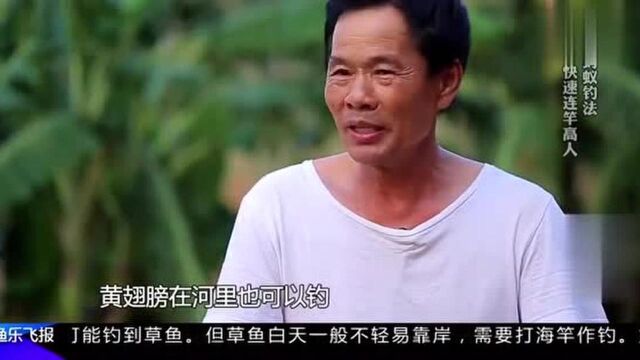 高手在民间:一只带着翅膀的蚂蚁,这也能钓鱼?五分钟就能钓着?