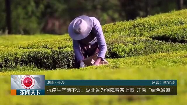 抗疫生产两不误:湖北为保障春茶上市开启“绿色通道”茶闻天下