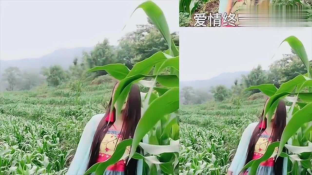 云南山歌花心的男人农村美女唱出了心中的委屈句句入心