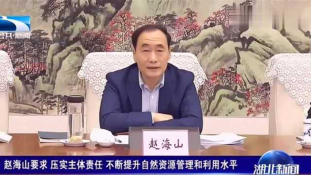 赵海山要求压实主体责任不断提升自然资源管理和利用水平