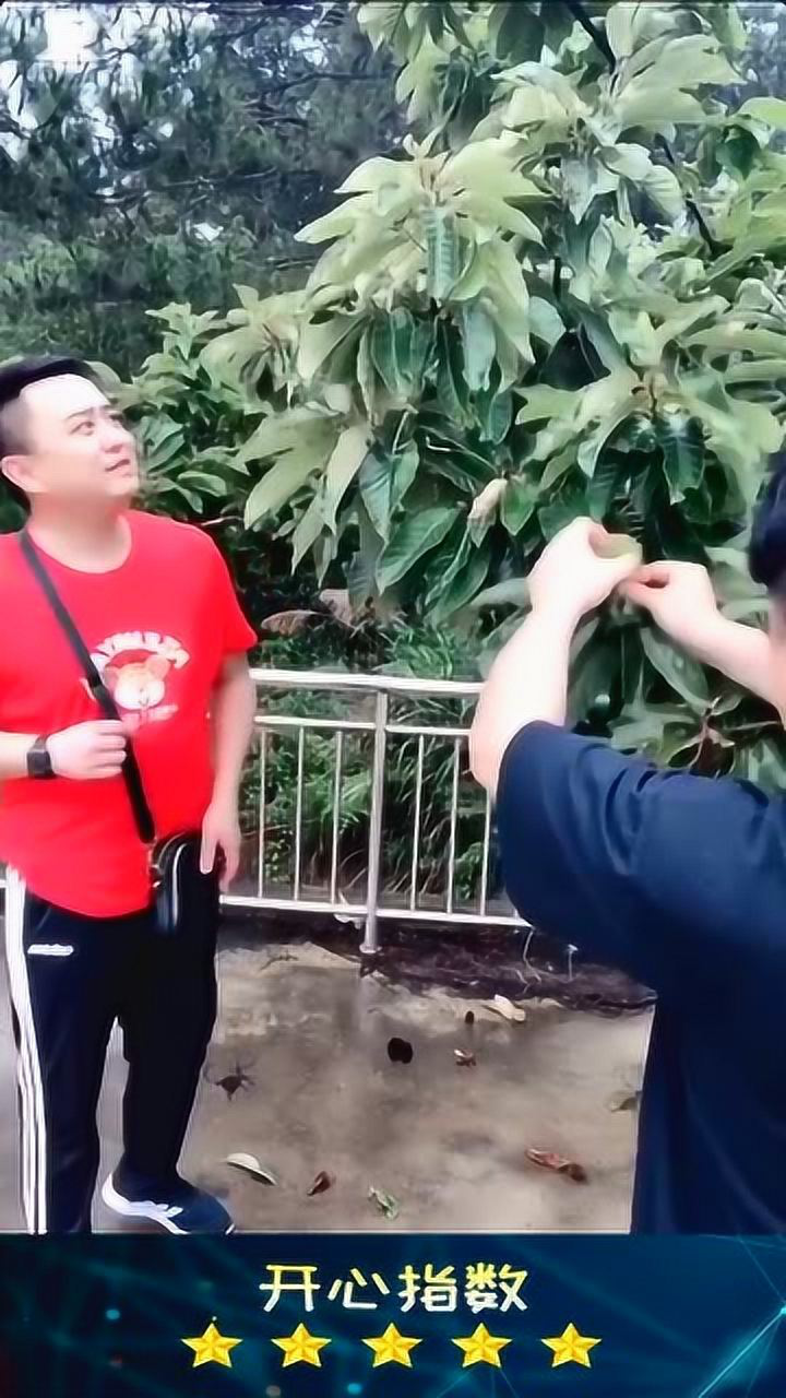 辫子哥这是什么呀