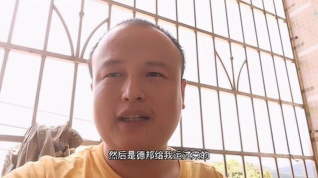 快递行业的压力在哪里?看了这些乱象,你就明白了