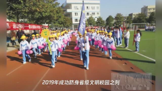 匠心所至 文明花开——韶山镇泰小学创建省级文明校园工作掠影