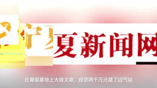 【寻味贺兰 品酒识标】① 根正苗红的“贺”牌