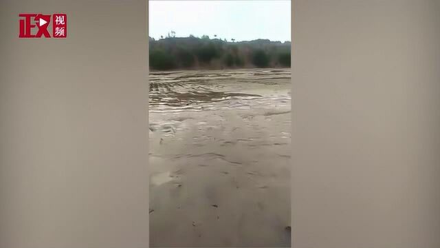 内蒙古降水量破历史最高!农作物发生水涝灾害 牲畜被泥石流半埋困住