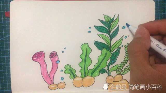 简笔画海底植物的画法,记得收藏哦