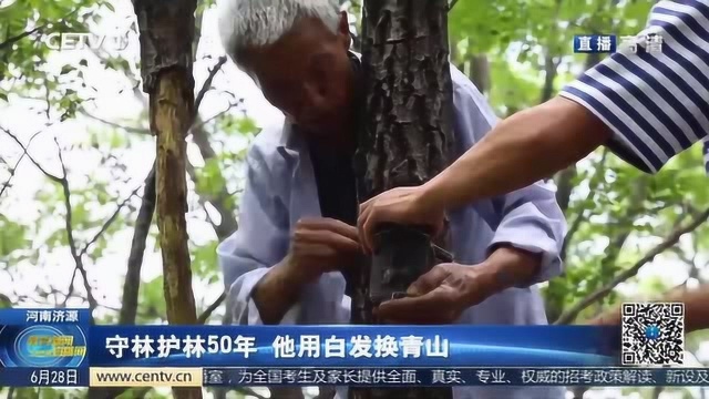 一生的守护,他用白发换青山,守林护林50年