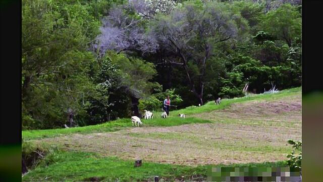 宁夏杀人焚尸案回顾:女子因琐事将丈夫杀害,勾结二男焚尸灭迹