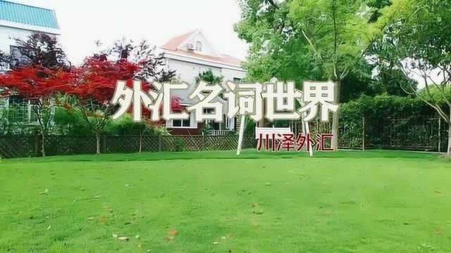 「外汇名词世界」07期:均线