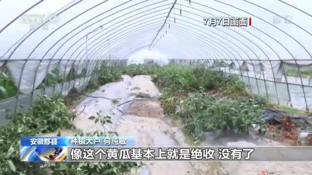 安徽黟县:强降雨影响 农田大面积受淹