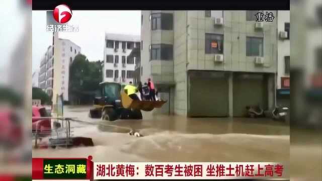 湖北黄梅:大暴雨致数百考生被困 坐推土机赶上高考