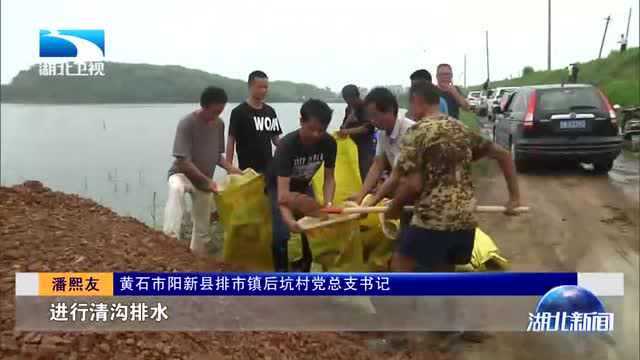 阳新县富河多处溃口漫堤:干部群众加固大堤,周边居民全部转移