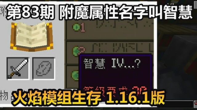 火焰模组生存 1.16.1版 第83期 附魔属性名字叫智慧