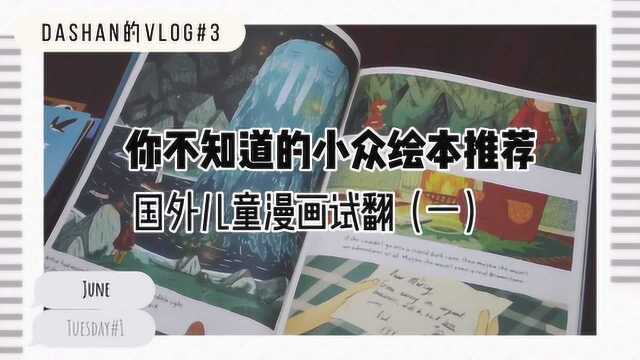 【DaShan】国外儿童漫画试翻Vlog#3