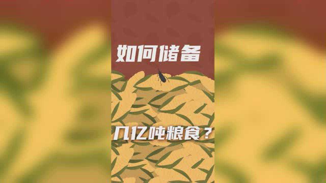 如何为14亿人储备粮食?中国的储备粮够吃多久?