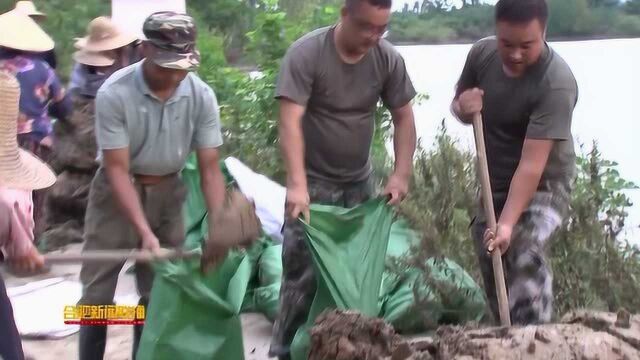 包河区:开足马力排水 守护万亩葡萄园