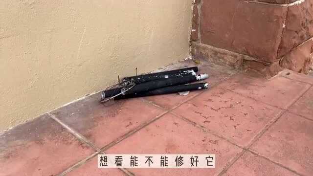 今天是宅家日记第四集,在租来的房子里,最爱的4个小角落