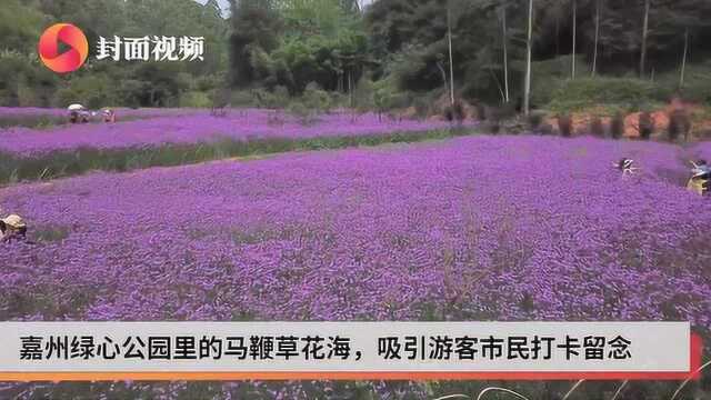 用“守护”创建 四川乐山市中区迈向天府旅游名县