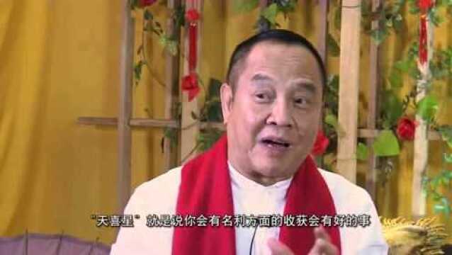 大师解密:其实属猪并不笨,反而属猪的人命运特别好