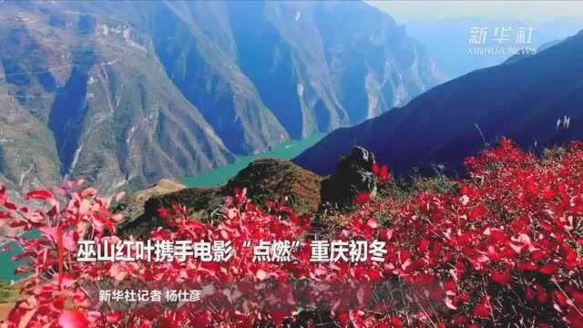 巫山红叶携手电影“点燃”重庆初冬