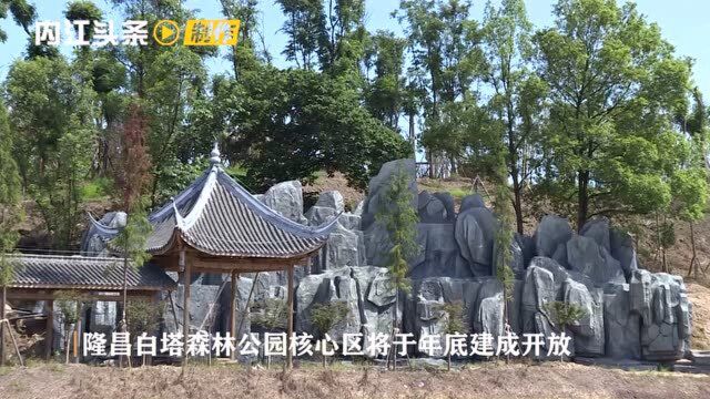 隆昌:白塔森林公园核心区将于年底建成开放(内江头条)