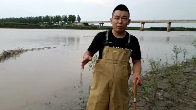 清除望奎县呼兰河流域天罗地网!