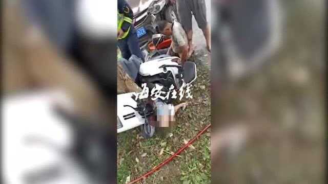 海安李堡东公路