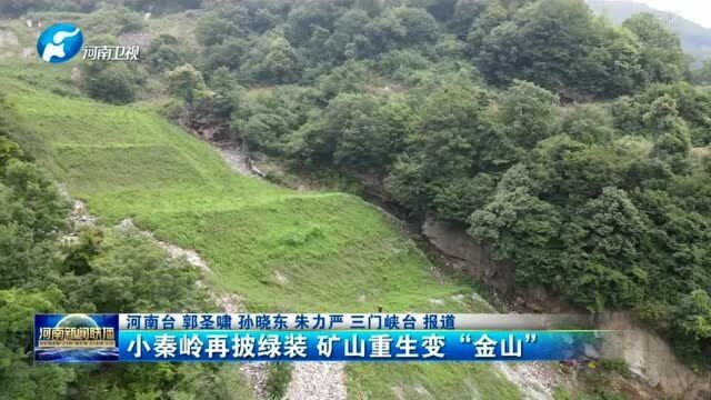 小秦岭再披绿装 矿山重生变“金山”