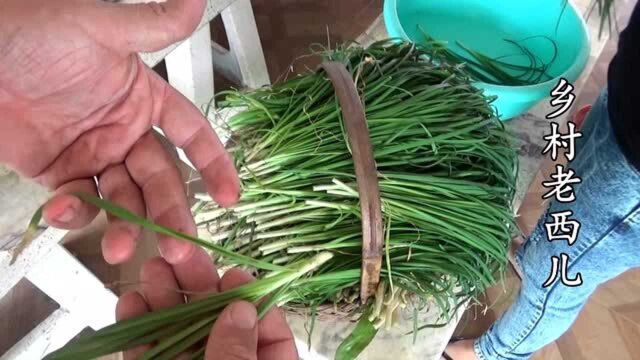 韭菜种植注意三个窍门,割茬后一茬比一茬壮,种一次采收十年