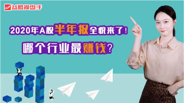 2020年A股半年报全貌来了!哪个行业最赚钱?