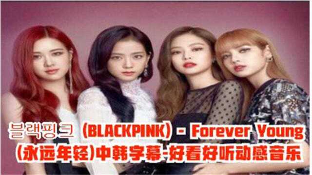 BLACKPINKForever Young(永远年轻)中韩字幕