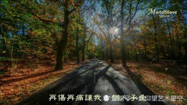 陈瑞《终于放了手》,配图音乐欣赏