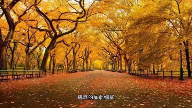 一曲好听的古风歌曲《松烟入墨》光阴被冻入胶泥残艳故人手笔