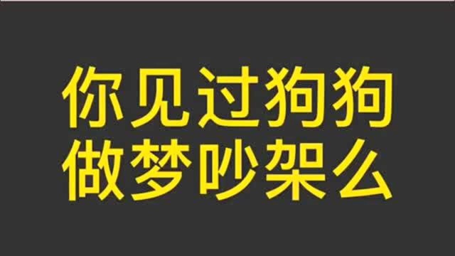 你见过做梦吵架的狗狗吗在梦里吵架太激烈了