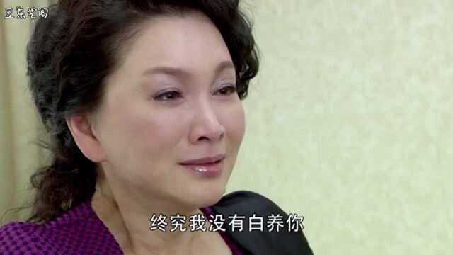 爱情不打烊大结局:晓君身世真相大白,悔不当初,选择去自首