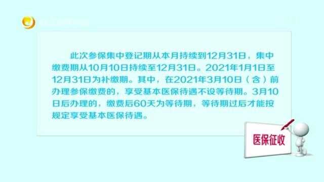 晋江启动2021年城乡居民医保征收工作