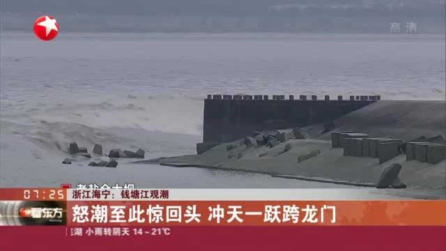 浙江海宁:钱塘江观潮