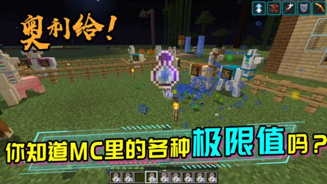 MC里各种极限值,人物最高等级是多少?MC高空限制又是多少?