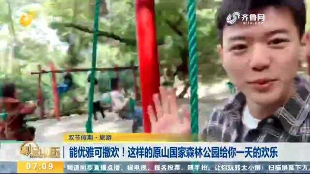 能优雅可撒欢!这样的原山国家森林公园给你一天的欢乐